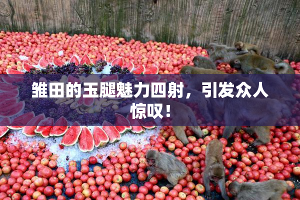 雏田的玉腿魅力四射，引发众人惊叹！