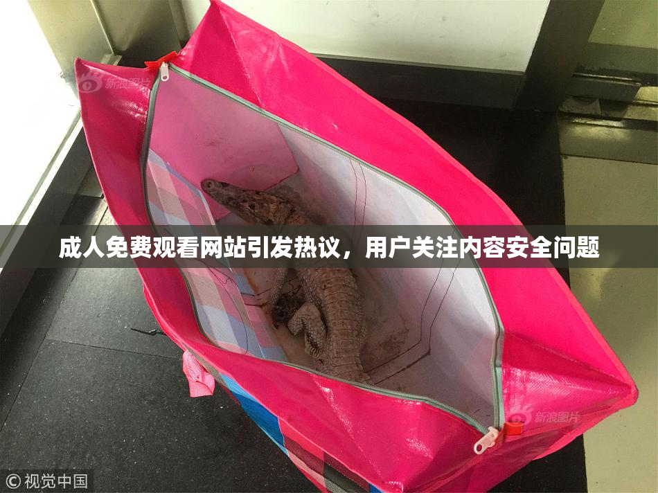 成人免费观看网站引发热议，用户关注内容安全问题