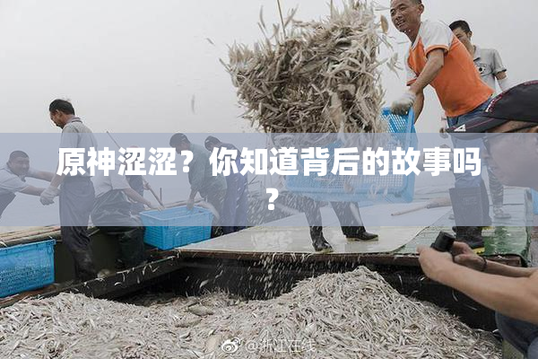 原神涩涩？你知道背后的故事吗？