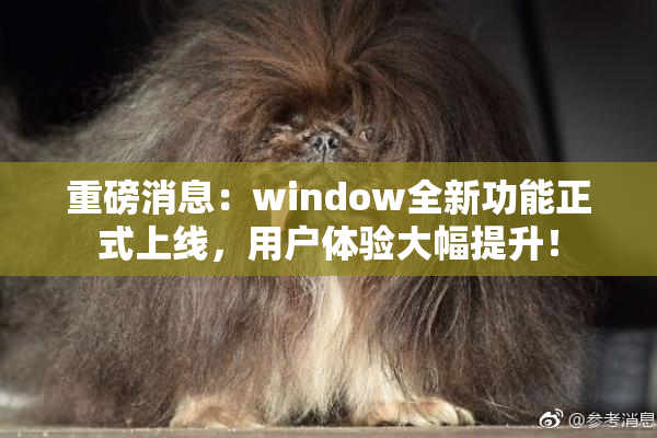 重磅消息：window全新功能正式上线，用户体验大幅提升！