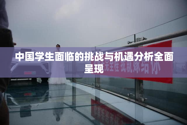 中国学生面临的挑战与机遇分析全面呈现