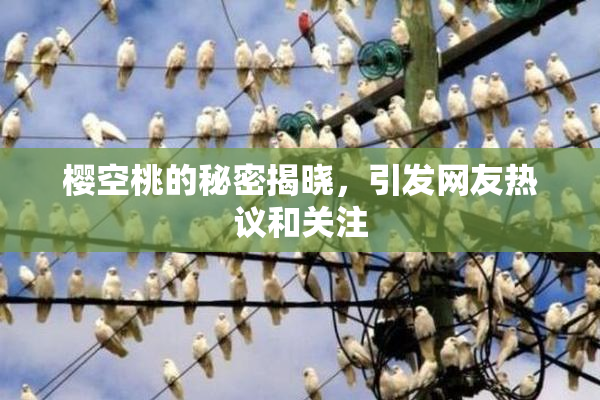 樱空桃的秘密揭晓，引发网友热议和关注