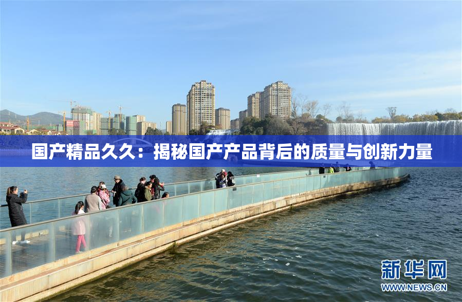 国产精品久久：揭秘国产产品背后的质量与创新力量