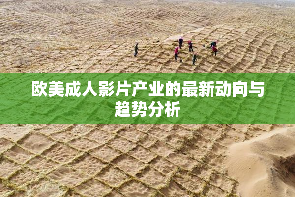 欧美成人影片产业的最新动向与趋势分析