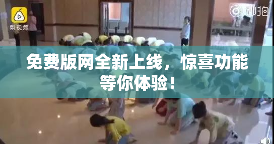 免费版网全新上线，惊喜功能等你体验！