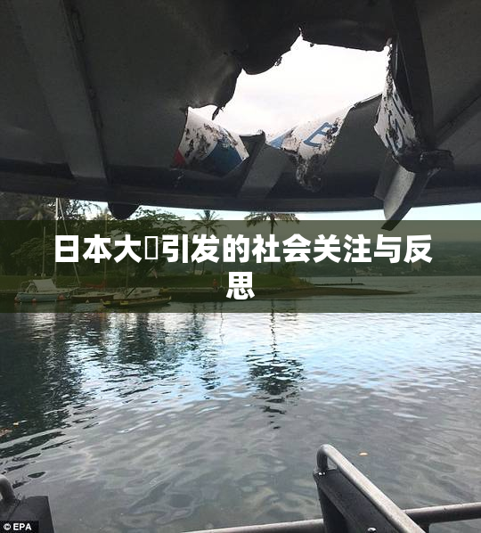 日本大隂引发的社会关注与反思
