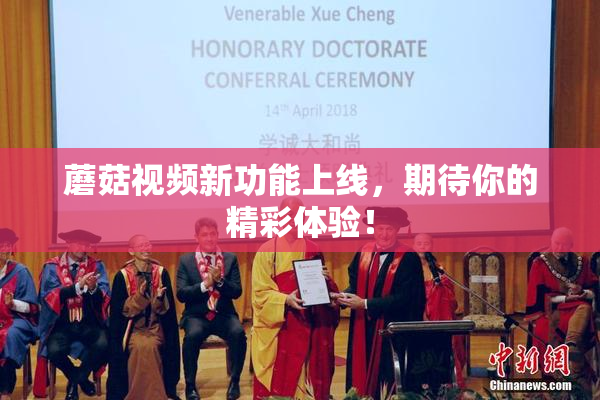 蘑菇视频新功能上线，期待你的精彩体验！