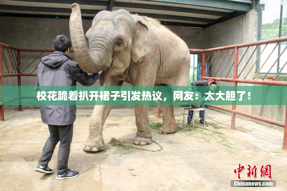 校花跪着扒开裙子引发热议，网友：太大胆了！
