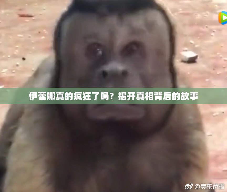 伊蕾娜真的疯狂了吗？揭开真相背后的故事