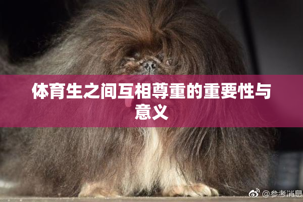 体育生之间互相尊重的重要性与意义