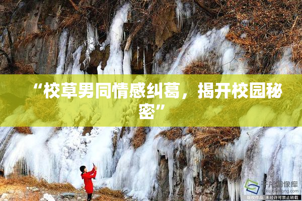 “校草男同情感纠葛，揭开校园秘密”
