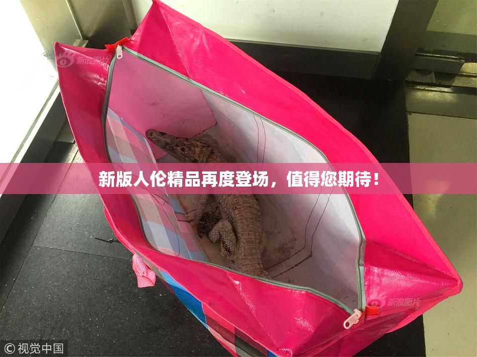 新版人伦精品再度登场，值得您期待！