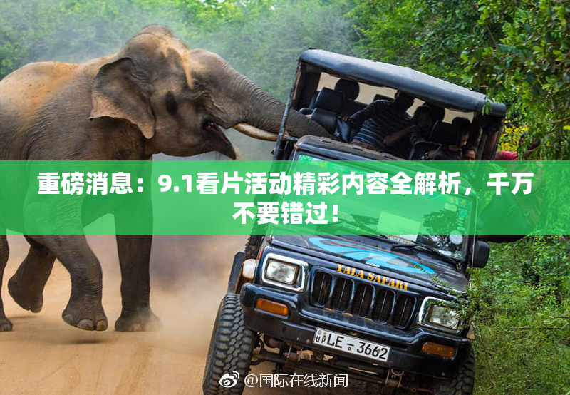 重磅消息：9.1看片活动精彩内容全解析，千万不要错过！