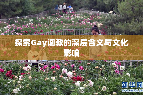 探索Gay调教的深层含义与文化影响