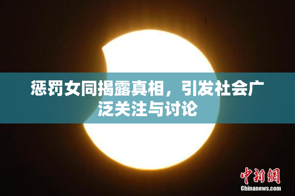 惩罚女同揭露真相，引发社会广泛关注与讨论