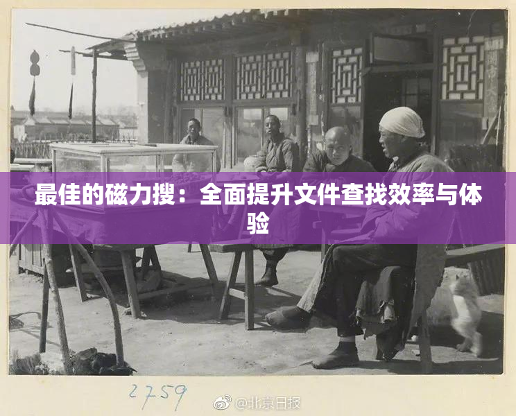 最佳的磁力搜：全面提升文件查找效率与体验