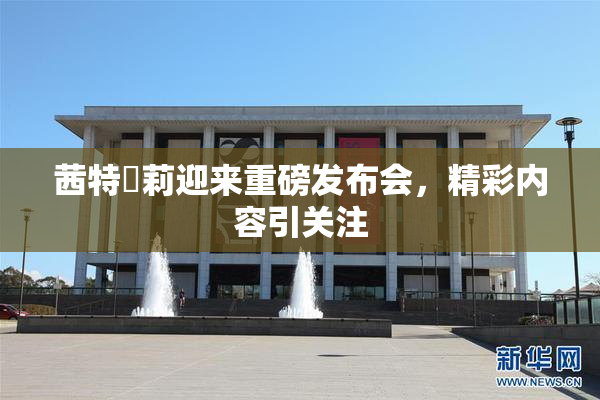 茜特菈莉迎来重磅发布会，精彩内容引关注
