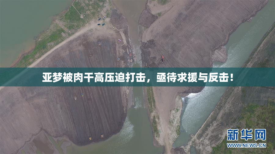 亚梦被肉干高压迫打击，亟待求援与反击！