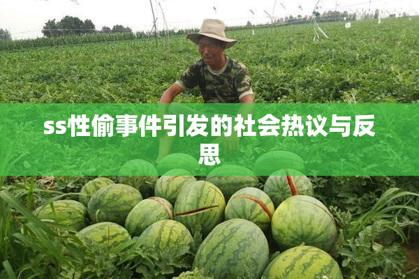 ss性偷事件引发的社会热议与反思