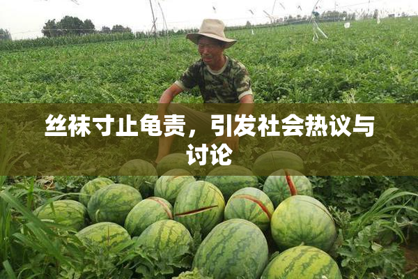 丝袜寸止龟责，引发社会热议与讨论