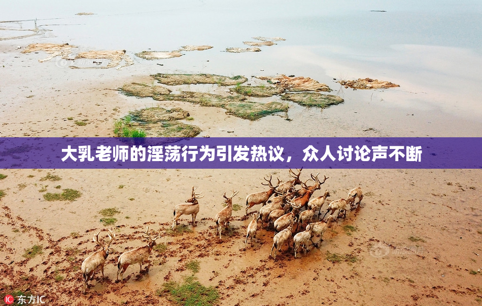 大乳老师的淫荡行为引发热议，众人讨论声不断