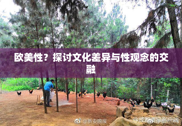 欧美性？探讨文化差异与性观念的交融