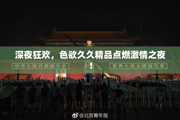 深夜狂欢，色欲久久精品点燃激情之夜！