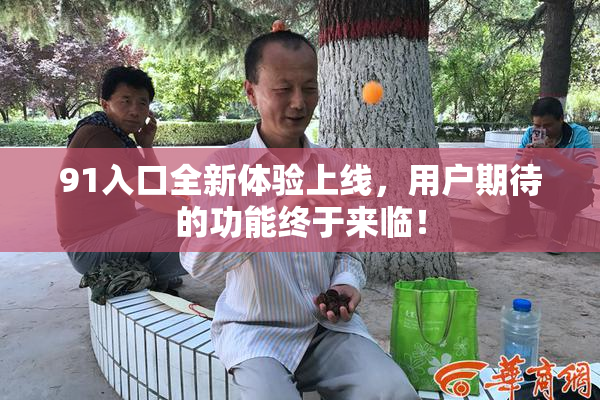 91入口全新体验上线，用户期待的功能终于来临！