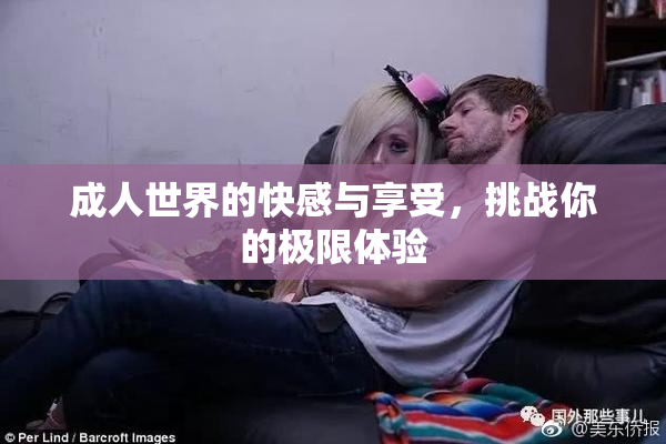 成人世界的快感与享受，挑战你的极限体验