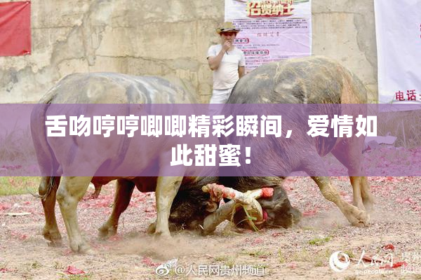 舌吻哼哼唧唧精彩瞬间，爱情如此甜蜜！