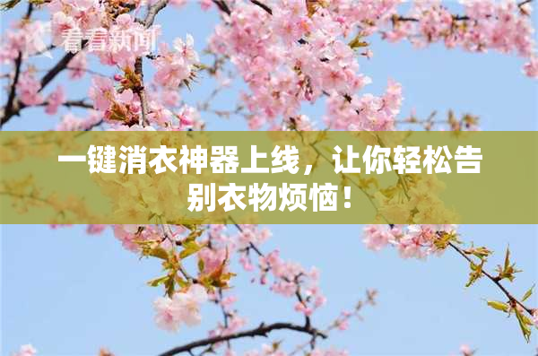 一键消衣神器上线，让你轻松告别衣物烦恼！