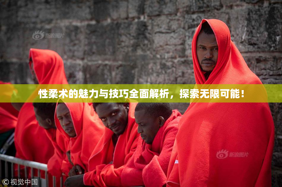 性柔术的魅力与技巧全面解析，探索无限可能！