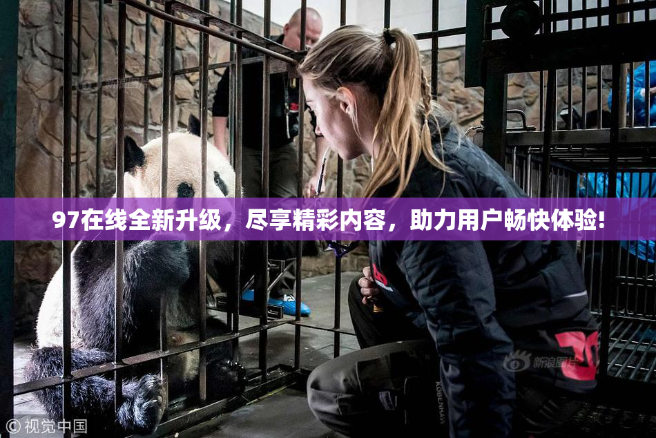 97在线全新升级，尽享精彩内容，助力用户畅快体验!