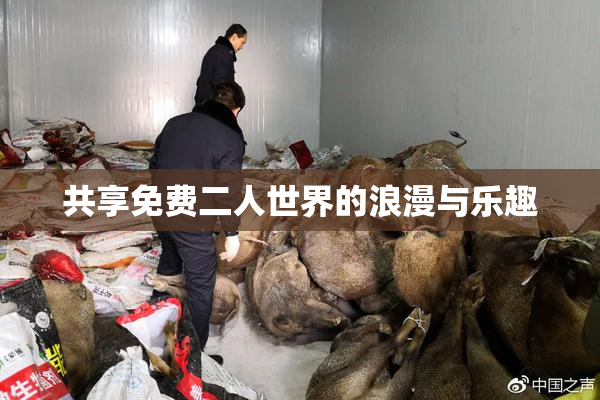 共享免费二人世界的浪漫与乐趣