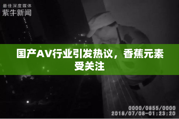 国产AV行业引发热议，香蕉元素受关注