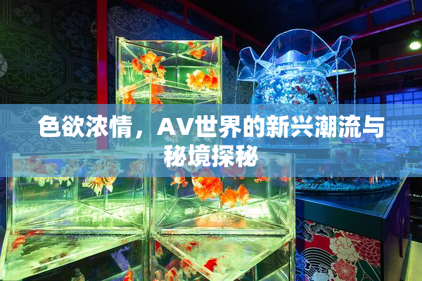 色欲浓情，AV世界的新兴潮流与秘境探秘