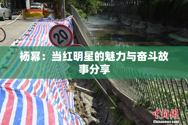 杨幂：当红明星的魅力与奋斗故事分享