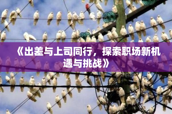 《出差与上司同行，探索职场新机遇与挑战》