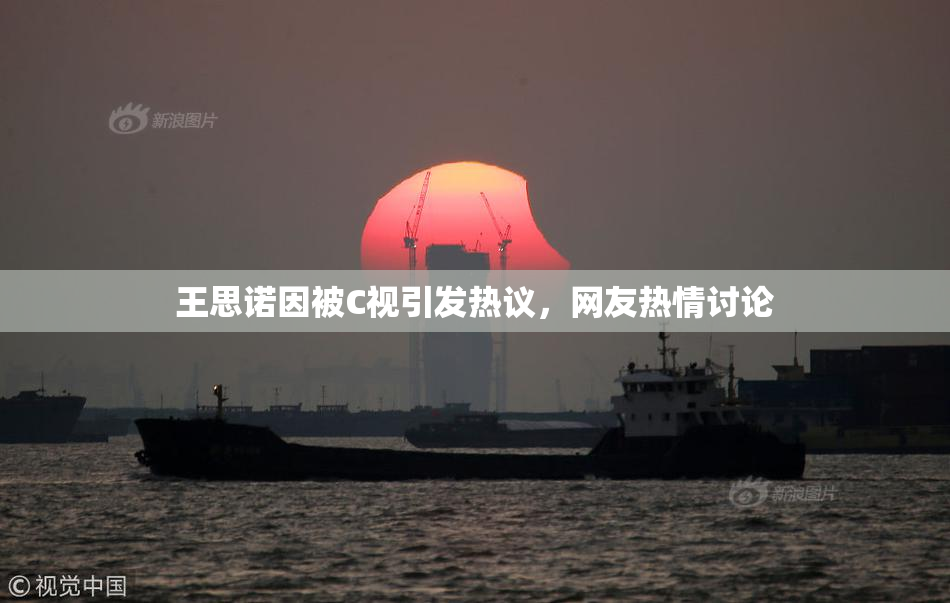 王思诺因被C视引发热议，网友热情讨论