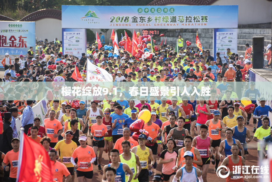 樱花绽放9.1，春日盛景引人入胜