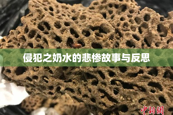 侵犯之奶水的悲惨故事与反思