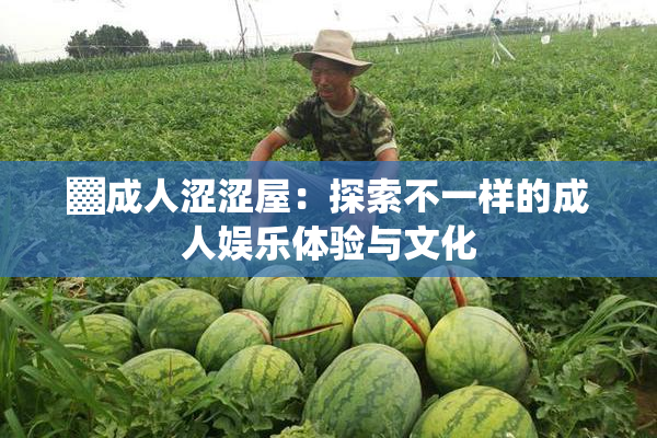 ▓成人涩涩屋：探索不一样的成人娱乐体验与文化