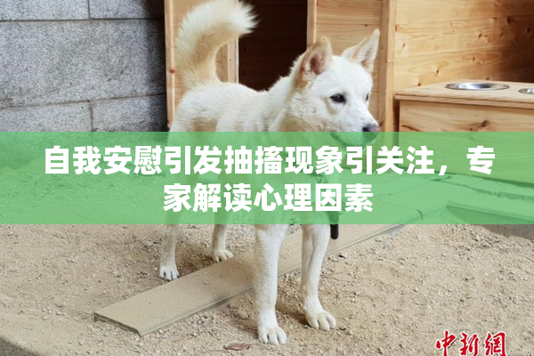 自我安慰引发抽搐现象引关注，专家解读心理因素
