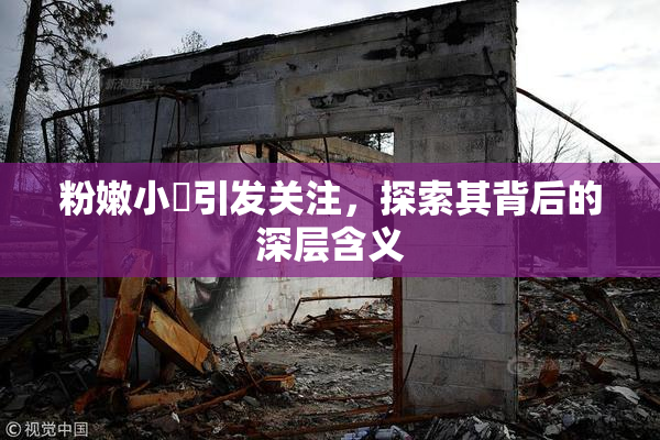 粉嫩小泬引发关注，探索其背后的深层含义