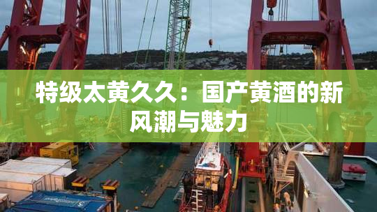 特级太黄久久：国产黄酒的新风潮与魅力