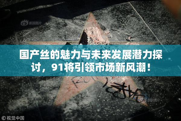 国产丝的魅力与未来发展潜力探讨，91将引领市场新风潮！