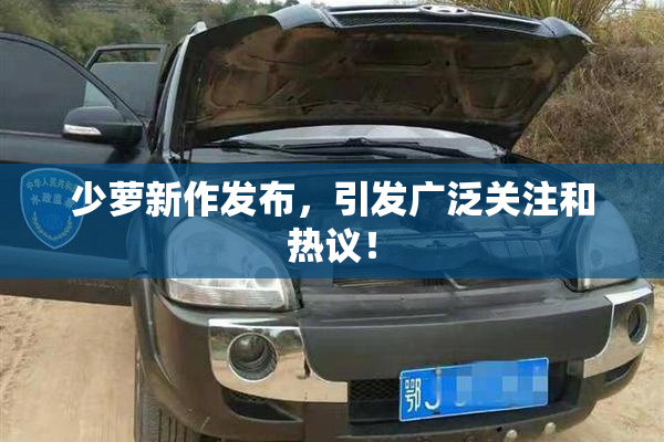 少萝新作发布，引发广泛关注和热议！