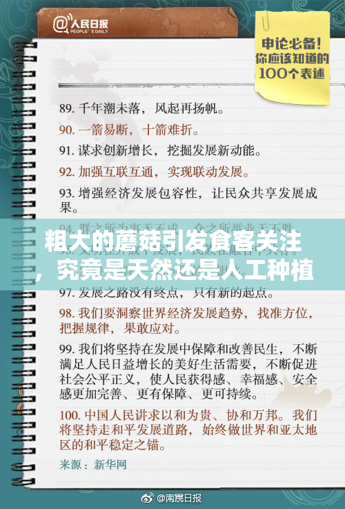 粗大的蘑菇引发食客关注，究竟是天然还是人工种植？