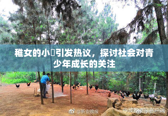 稚女的小泬引发热议，探讨社会对青少年成长的关注