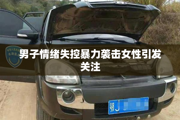 男子情绪失控暴力袭击女性引发关注